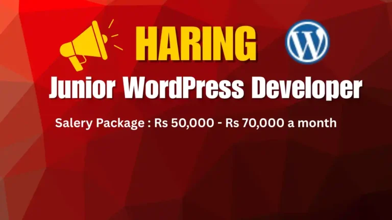 Junior WordPress Developer Apply Now
