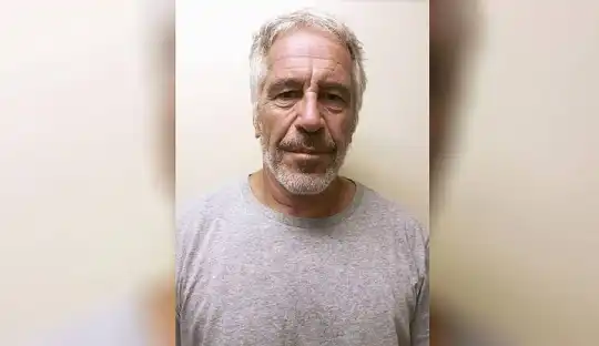 you can now check jeffrey epstein gmail directly truth or internet myth how